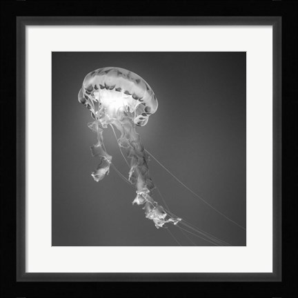 Framed Medusa 1 Print