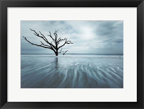 Framed Searching For Life Color Edit Print