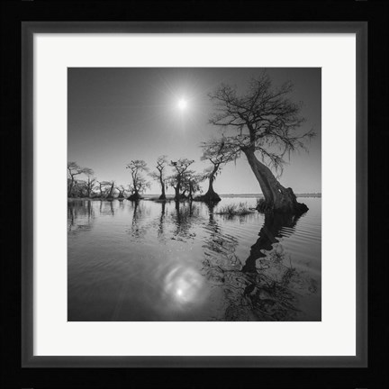 Framed Sunrise 2 Print