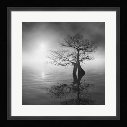 Framed Sunrise Fog Print
