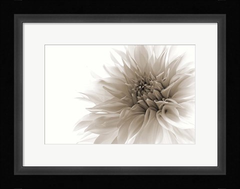 Framed Dignified Print