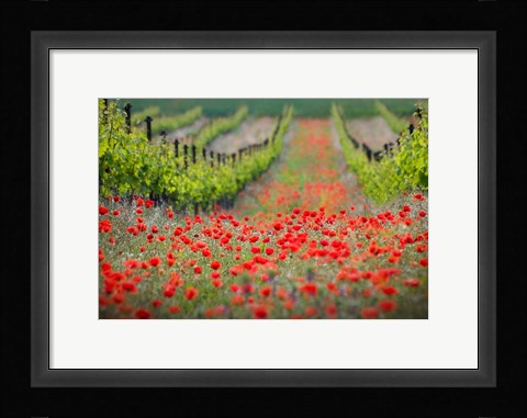 Framed Red District Print