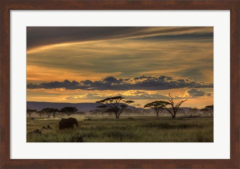 Framed Africa Print