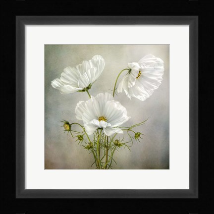 Framed Cosmos Charm Print
