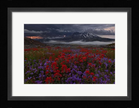 Framed Apocalypse Now Print