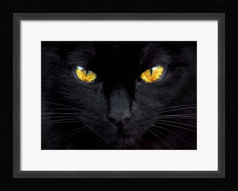 Framed Hypnotist of the Night Print
