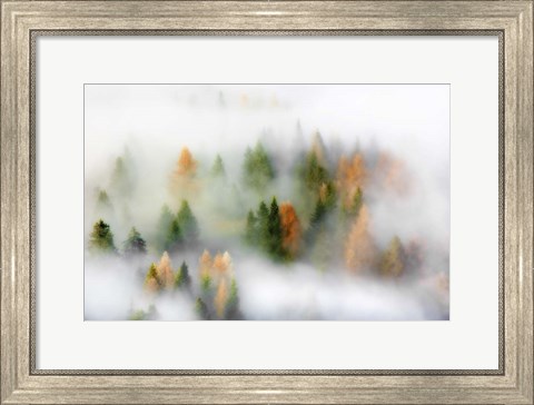 Framed Autumn Dream Print
