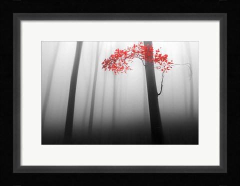 Framed Illusion Print