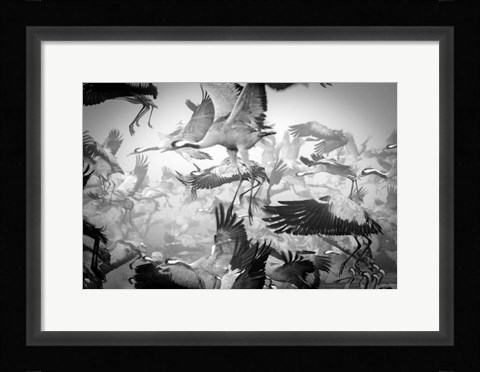 Framed Chaos Print