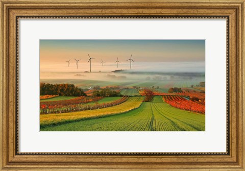 Framed Autumn Atmosphere In Vineyards Print