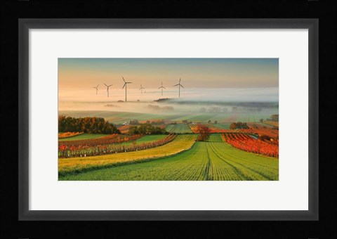 Framed Autumn Atmosphere In Vineyards Print