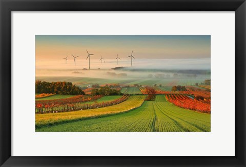 Framed Autumn Atmosphere In Vineyards Print