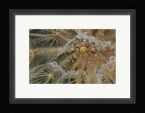 Framed Starless Print
