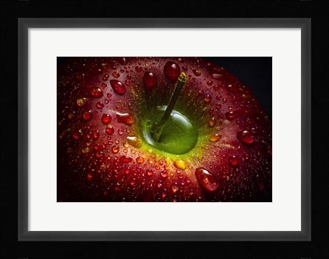 Framed Red Apple Print