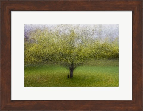 Framed Cat By the Tree Print