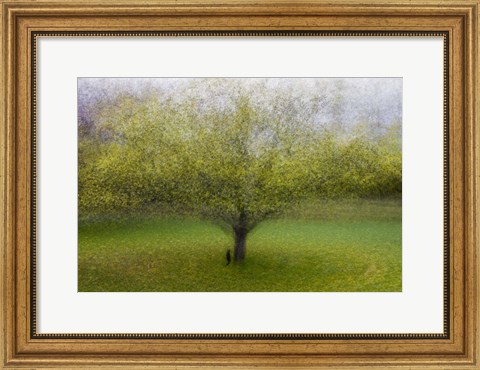 Framed Cat By the Tree Print