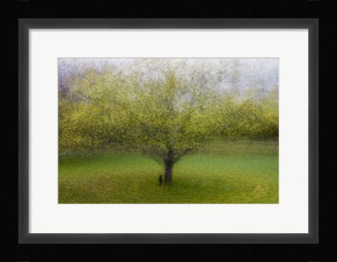 Framed Cat By the Tree Print