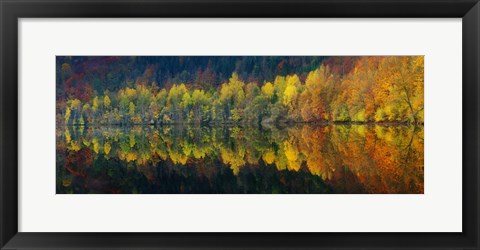 Framed Autumnal Silence Print