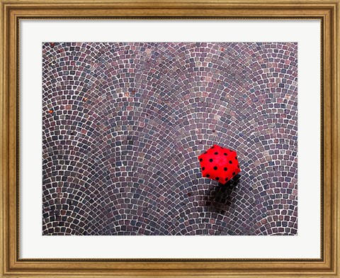 Framed Urban Ladybug Print
