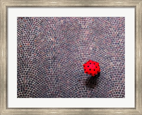 Framed Urban Ladybug Print
