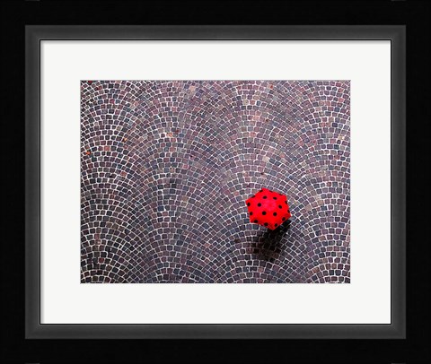 Framed Urban Ladybug Print