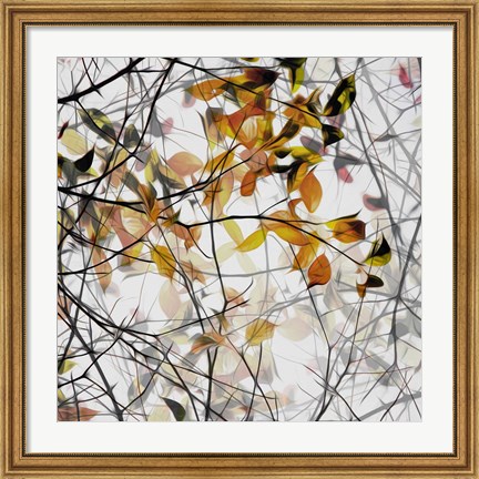 Framed Autumn Song Print