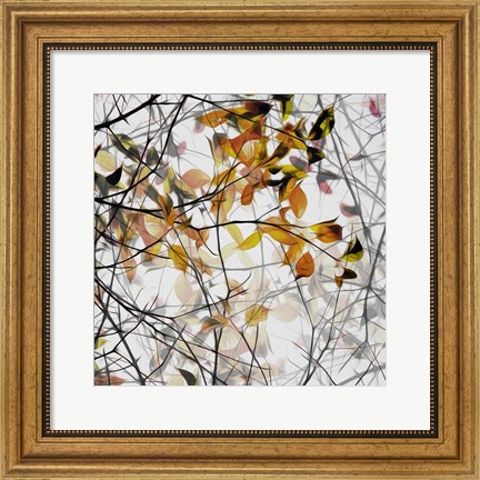 Framed Autumn Song Print
