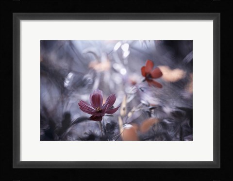Framed Une Autre Fleur, Une Autre Histoire Print