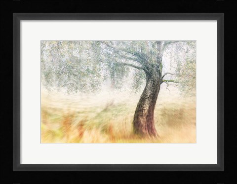 Framed Twisted Dream Print