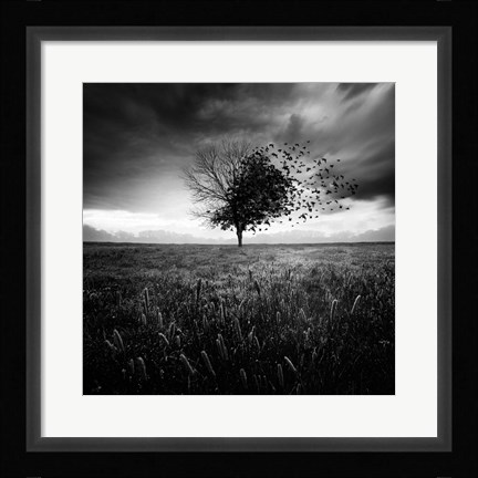 Framed Illusion D'un Printemps Perdu Print