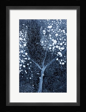 Framed Winter Blossom Print