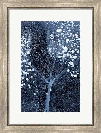 Framed Winter Blossom Print