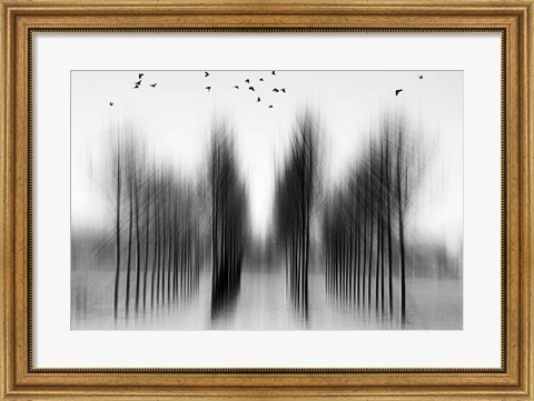 Framed Tree Architecture Print