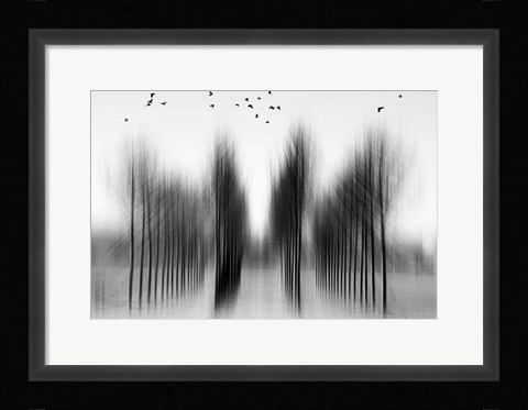 Framed Tree Architecture Print