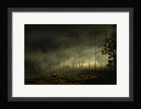 Framed Misty Morning Print