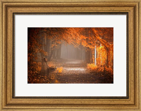 Framed Waiting To Fall Print
