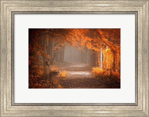 Framed Waiting To Fall Print