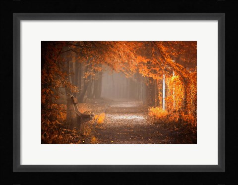 Framed Waiting To Fall Print