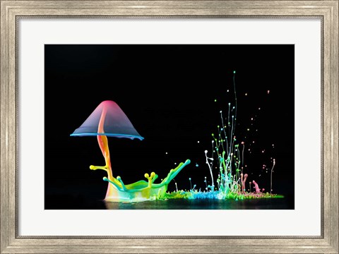 Framed Symphony of Colors Print