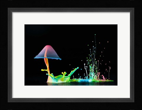 Framed Symphony of Colors Print