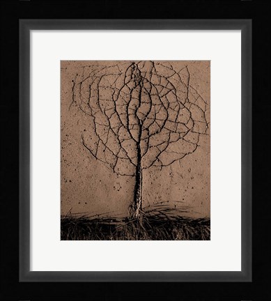 Framed Asphalt Tree Print