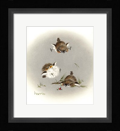 Framed Grounded Print