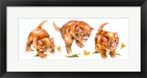 Framed Kitten And Butterfly Print