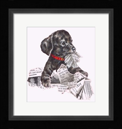 Framed Newspaper Pup - 13A Print
