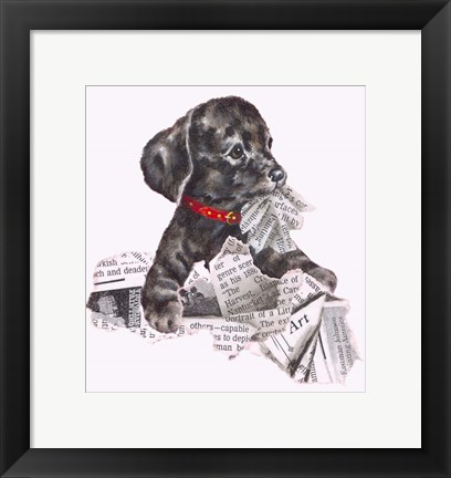 Framed Newspaper Pup - 13A Print