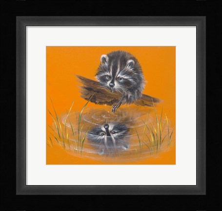 Framed Reflective Racoon - 35A Print