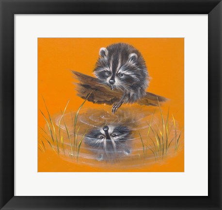 Framed Reflective Racoon - 35A Print