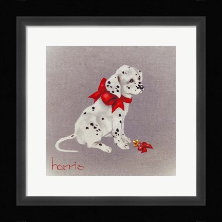 Framed Dalmation Pup Print