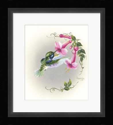 Framed Hummingbird With Trumpet Flowers 2 Print