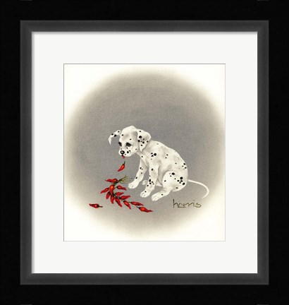 Framed Dalmation 5 - Chile Dog Print